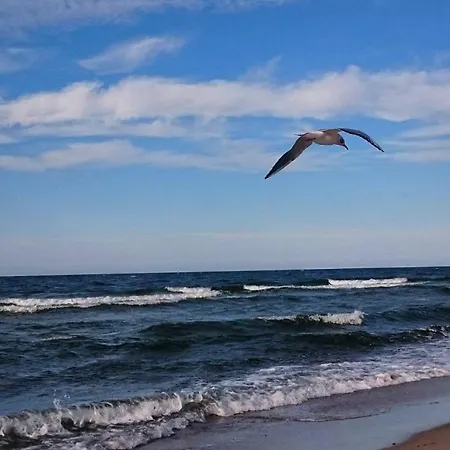 Soleil Resort&spa * Rewal