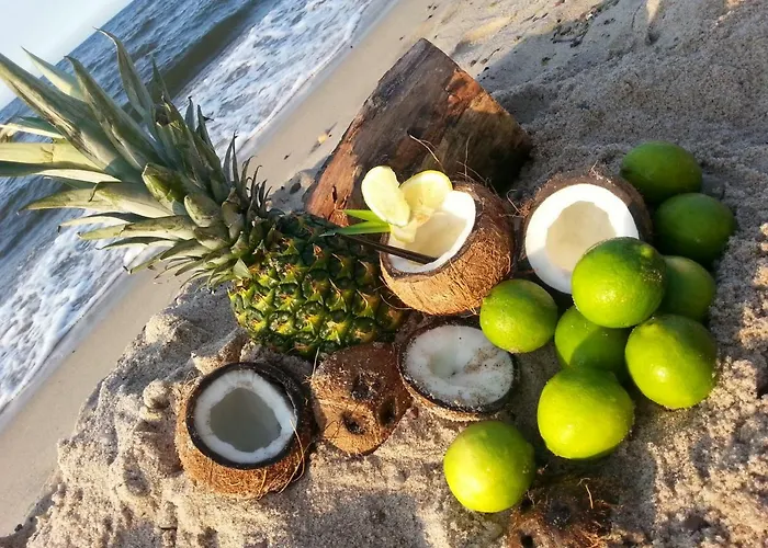 Soleil & * ريفال